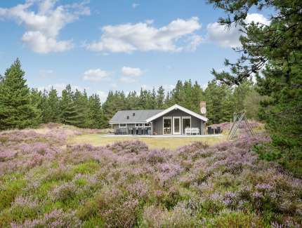 Billede af sommerhus/feriehus