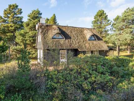 Bild des Ferienhauses