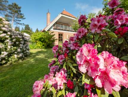 Billede af sommerhus/feriehus