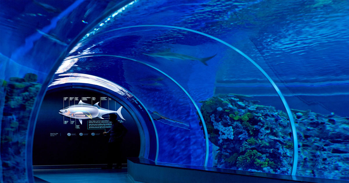 Besøg den enestående Blå Planet når du lejer sommerhus