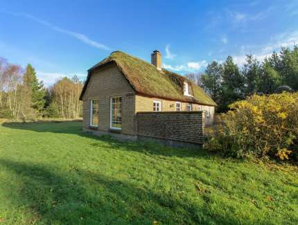 Bild des Ferienhauses