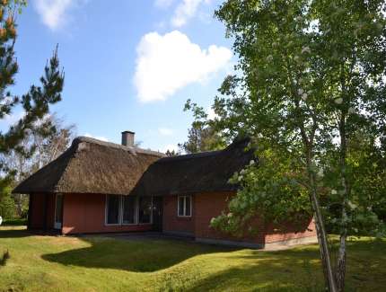 Bild des Ferienhauses